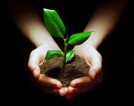 Environmentally friendly building materials